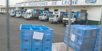 Conaprole anuncia posible reducción de hasta un 21% en el precio de la leche
